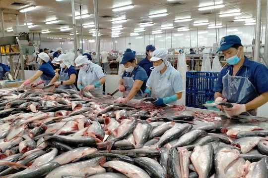 Năm 2021, xuất khẩu cá tra ước đạt 1,54 tỷ USD