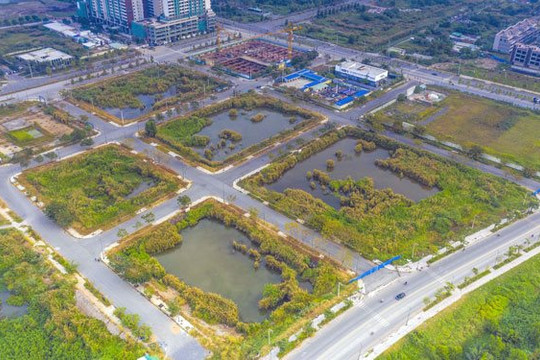 Tân Hoàng Minh xin tự nguyện chấm dứt hợp đồng mua đất  tại Thủ Thiêm