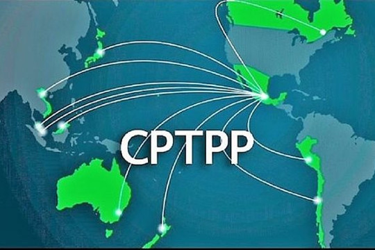 Hướng dẫn thực hiện về đấu thầu mua sắm theo Hiệp định CPTPP
