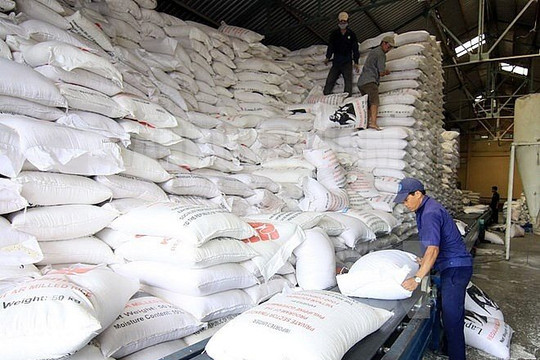 Xuất cấp gạo từ nguồn dự trữ quốc gia cho 9 tỉnh