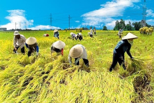 Phê duyệt Chiến lược phát triển nông nghiệp và nông thôn bền vững giai đoạn 2021 – 2030