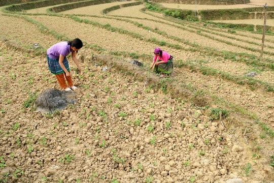 Miễn, giảm tiền sử dụng đất cho người có công