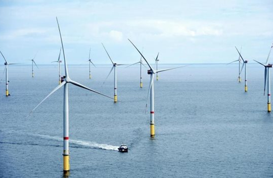 Trà Vinh chấp thuận chủ trương đầu tư dự án điện gió trị giá 3.860 tỷ đồng