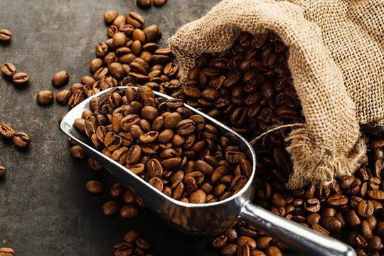 Giá cà phê xuất khẩu nhiều khả năng duy trì ở mức cao