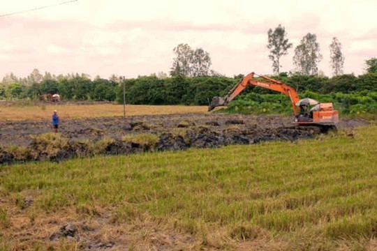 Đồng Tháp được chuyển đổi 25 ha đất trồng lúa