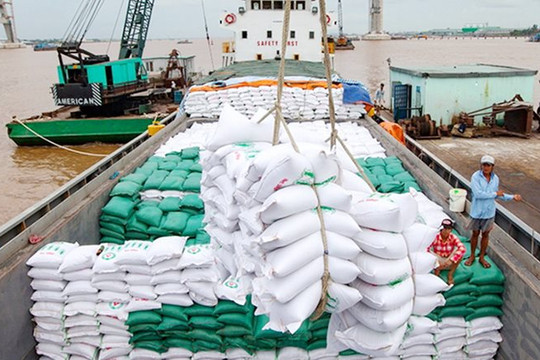 Xuất khẩu gạo vẫn gặp khó khăn trong khâu vận chuyển