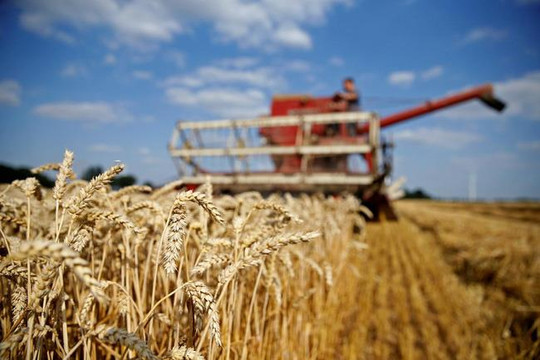 Phương Tây tìm cách hỗ trợ Ukraine xuất khẩu ngũ cốc