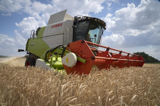 Trung tâm điều phối xuất khẩu ngũ cốc Ukraine bắt đầu hoạt động