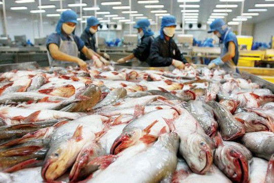 Xuất khẩu cá tra sang thị trường Mexico tăng tới 73%