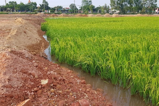 Hạn chế, kiểm soát chặt việc chuyển đổi đất chuyên trồng lúa nước sang đất phi nông nghiệp