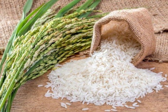Gạo Việt Nam ngày càng có lợi thế cạnh tranh hơn so với Thái Lan