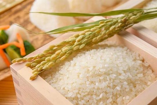 Giá gạo tăng tốc sau lệnh hạn chế xuất khẩu của Ấn Độ, cổ phiếu nào hưởng lợi?