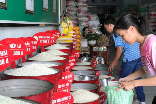 Thị trường gạo đến cuối năm dự kiến sẽ ít có biến động