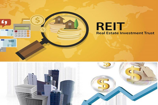Sự khác biệt giữa Quỹ tín thác đầu tư bất động sản và Chứng khoán được đảm bảo bằng bất động sản