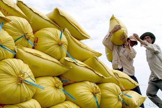 Giá xuất khẩu gạo có thể tăng trong những tuần tới do nguồn cung khan hiếm