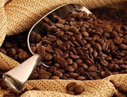 Hôm nay giá cà phê trong nước dao động quanh mốc 46.400 – 46.900 đồng/kg