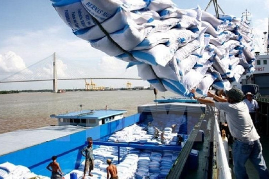 Giá gạo xuất khẩu điều chỉnh giảm 10 USD/tấn