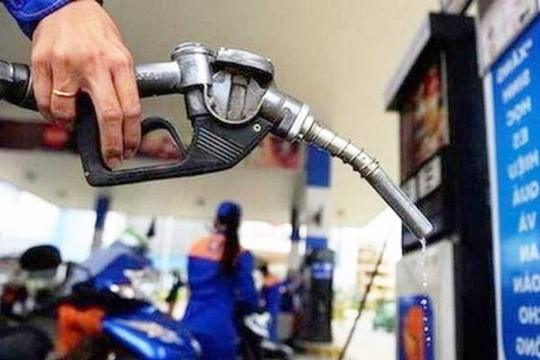 Giá xăng dầu dự kiến tăng đến 700 đồng/lít 