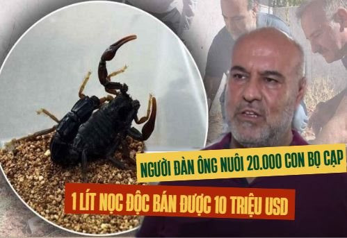 Một ngành kinh doanh ''béo bở'' giúp người đàn ông Thổ Nhĩ Kỳ thu về tiền khủng: Lập trang trại nuôi 20.000 con bọ cạp, 1 lít nọc độc trị giá 10 triệu USD