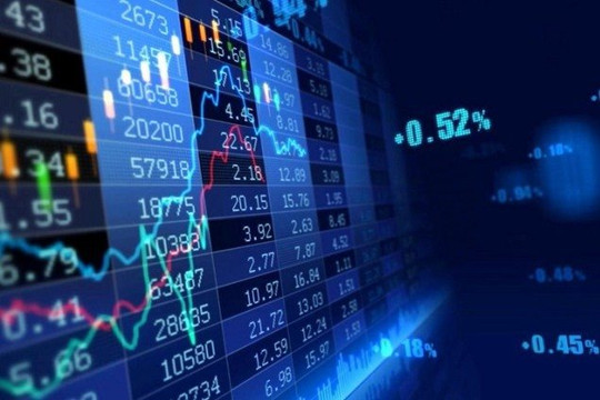Chứng khoán ngày 11/11: VN-Index tăng nhẹ dù có hơn 200 cổ phiếu giảm sàn