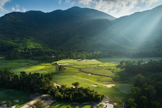 Ở Huế có một sân golf "edible", cánh đồng lúa tự trồng, chọn ‘gia đình trâu nước’ làm đại sứ thương hiệu xanh
