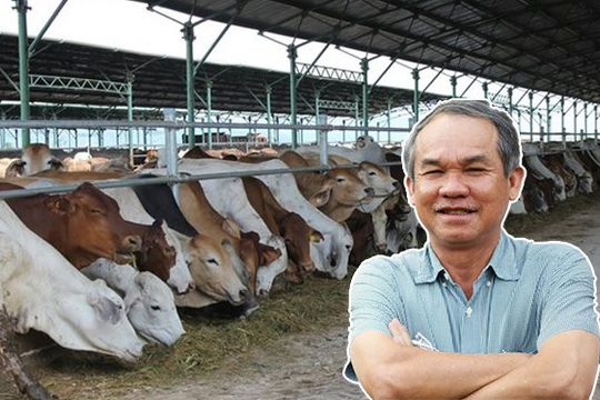 Trước khi bán 'bò Lào đặc sản', bầu Đức từng bán 'bò Úc đặc sản' như thế nào?