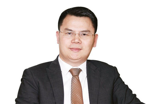 Chủ tịch VIG Nguyễn Phúc Long ký quyết định mua 2,9 triệu cổ phiếu TIG cũng do chính mình làm Chủ tịch