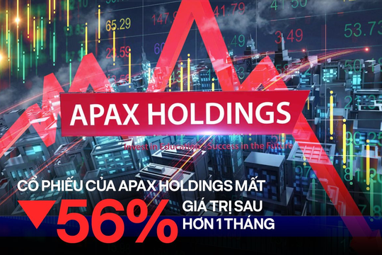 Cổ phiếu IBC - Apax Holdings của "Shark" Thuỷ mất 56% giá trị sau hơn một tháng, báo cáo tài chính chỉ ra doanh nghiệp còn lại bao nhiêu tiền?