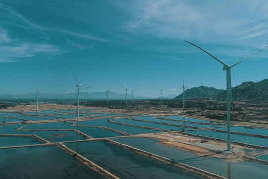 BIM được tài trợ 107 triệu USD xây trang trại điện gió ở Ninh Thuận