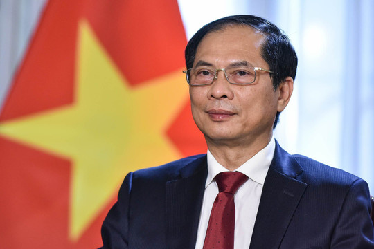 Bộ trưởng Bùi Thanh Sơn nói về "ngoại giao cây tre" mang bản sắc Việt