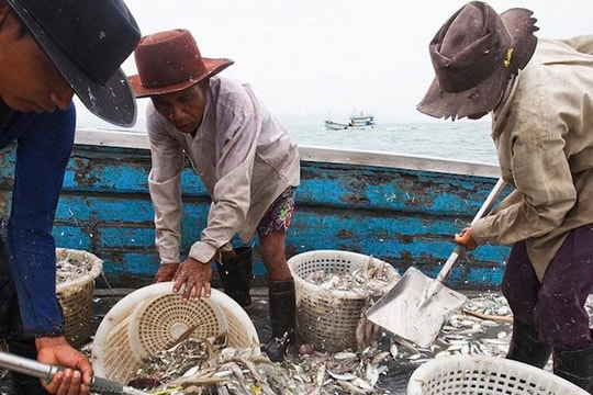 Góc tối sau ngành công nghiệp hái ra tiền của Thái Lan: Lao động nhập cư bị tước hộ chiếu, làm việc 20 tiếng/ngày, cuộc sống như "địa ngục" giữa biển khơi