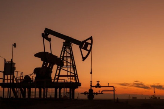 Một tập đoàn dầu khí Nga muốn cung cấp dầu thô dài hạn cho Việt Nam và xây dựng dự án kho dự trữ xăng dầu