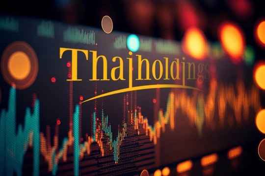 Thaiholdings lãi 337 tỷ đồng năm 2022