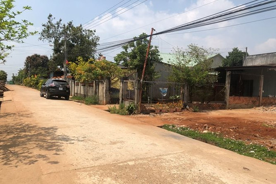 Thu hồi 10 dự án treo tại Đồng Nai, huyện Nhơn Trạch bị “điểm tên” nhiều nhất