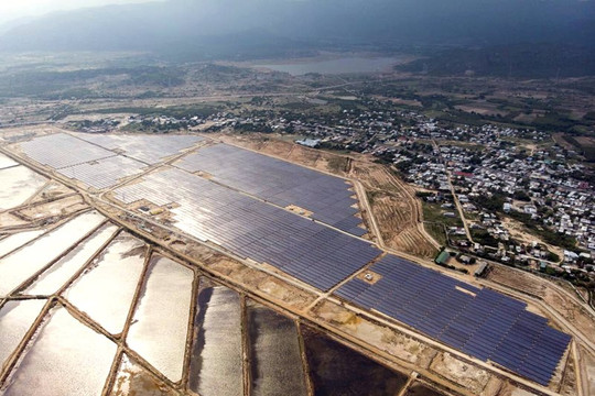 Bán dự án điện mặt trời Vĩnh Hảo 6 cho nước ngoài, Fecon từ lỗ sang có lãi hơn 49 tỷ đồng trong quý 4/2022