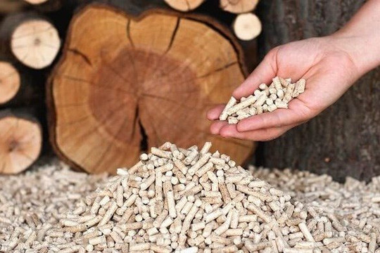 Xuất khẩu dăm gỗ và viên nén gỗ thu về gần 3,5 tỷ USD năm 2022