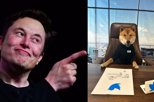 Chuyện gì đây: Elon Musk vừa bổ nhiệm 1 chú cún làm CEO Twitter, khen 'giỏi số má' khiến giá Dogecoin tăng mạnh