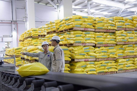 Tháng 1/2023 nhập khẩu phân bón từ Trung Quốc sụt giảm mạnh 