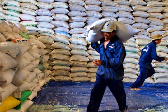 Doanh nghiệp xuất khẩu gạo đang có nhu cầu mua vào để đáp ứng đơn hàng đầu năm