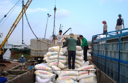 Giá lúa gạo trong nước và xuất khẩu cùng xu hướng giảm