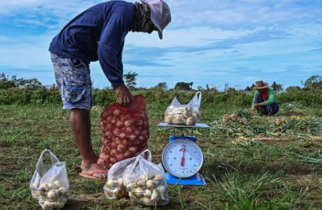 Loại củ có giá rẻ bán tràn lan tại chợ Việt lại đang gặp khủng hoảng trên toàn thế giới, giá tăng đến gần 800%, đắt hơn thịt do nguồn cung quá khan hiếm