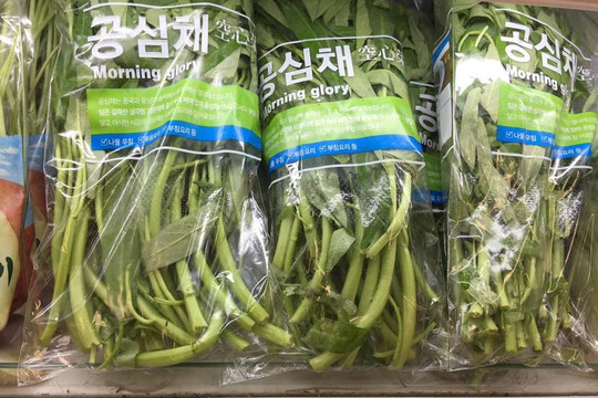Loại rau ở Việt Nam bán đầy ngoài chợ sang nước ngoài thành thứ siêu đắt đỏ, 10 cọng rau giá cả trăm nghìn