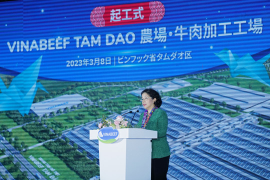 "Giấc mơ thịt bò Việt" của Vinamilk: Nuôi bò công nghệ Nhật ở Tam Đảo, quản lý từ "gia phả bò" đến khâu phân phối, có thể quét QR Code truy xuất nguồn gốc