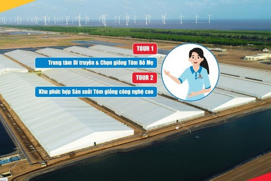 Tập đoàn thủy sản Việt Úc giới thiệu tour tham quan trực tuyến 360 độ