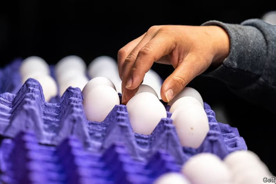 Dấu hỏi lớn đằng sau cơn ‘lạm phát trứng’ tại Mỹ: Cổ phiếu một công ty tăng 17%, doanh thu tăng 110% khi trứng khan hiếm