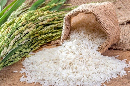 Giá gạo xuất khẩu Việt Nam vượt Thái Lan, Ấn Độ
