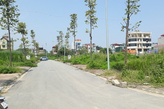 Nhiều khu vực ven Hà Nội chuẩn bị đấu giá hơn 100 lô đất, giá khởi điểm chỉ từ hơn 6 triệu đồng/m2
