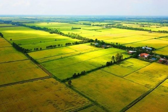 Chuyên gia: “Đầu tư đất nông nghiệp có thể nhân giá 200-500 lần trong 10 năm”