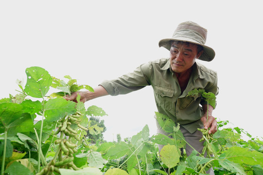 Vinasoy có động thái mới tại vùng đậu nành lớn nhất tỉnh Đắk Nông