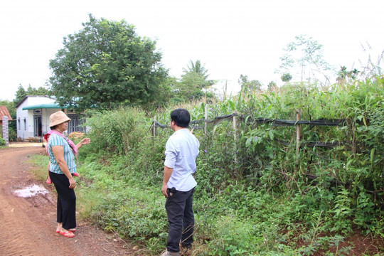 Giá đất làng quê Thanh Hoá, Nghệ An giảm, nhà đầu tư cắt lỗ vẫn khó thoát hàng